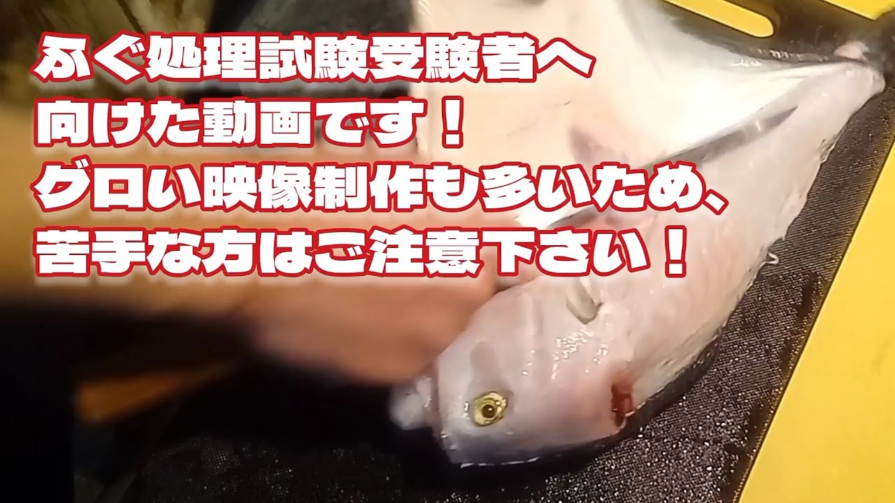 ふぐ処理試験を受ける方へ！各部位をなるべくゆっくり捌いて
