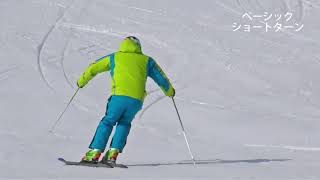 Reilly VOLKL RACETIGER SX Demo - YouTube