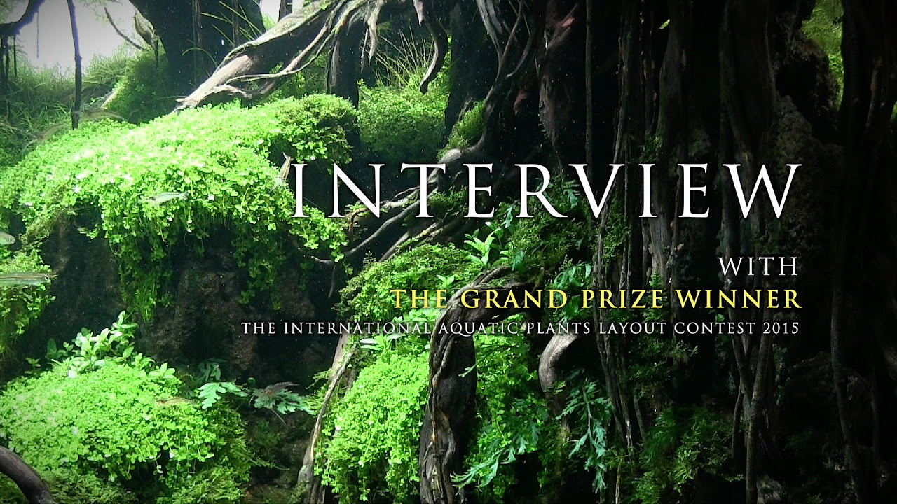 ADAview]世界水草レイアウトコンテスト2015 - グランプリ インタビュー