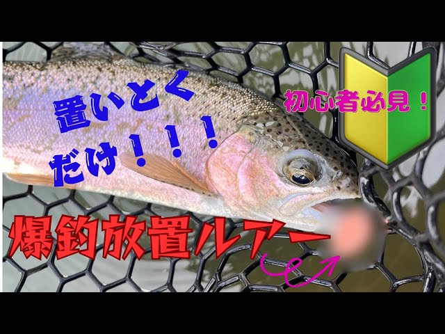 エリアトラウト 】数釣りが楽しめる時期になりました！初心者でも