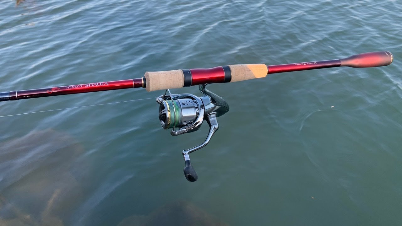 World Shaula 2832R-2 is the best rod - YouTube