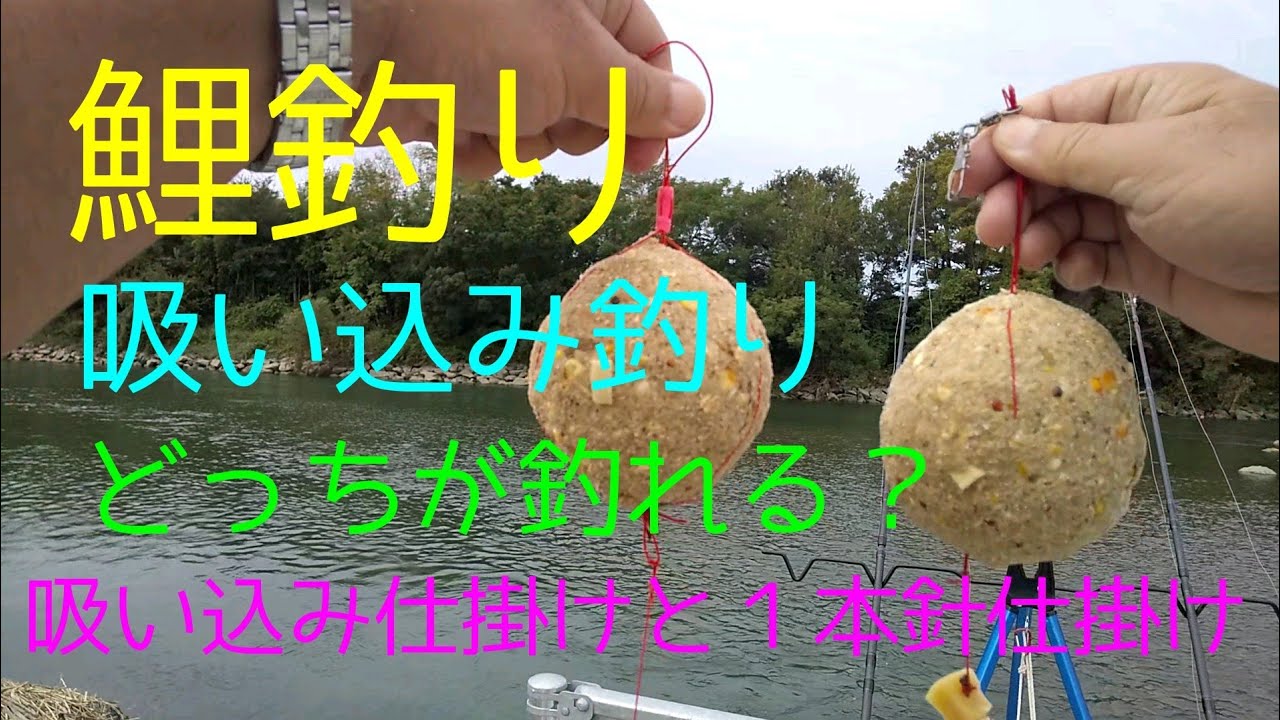 鯉釣り #carpfishing #カープフィッシング 】検証、吸い込み仕掛けと1