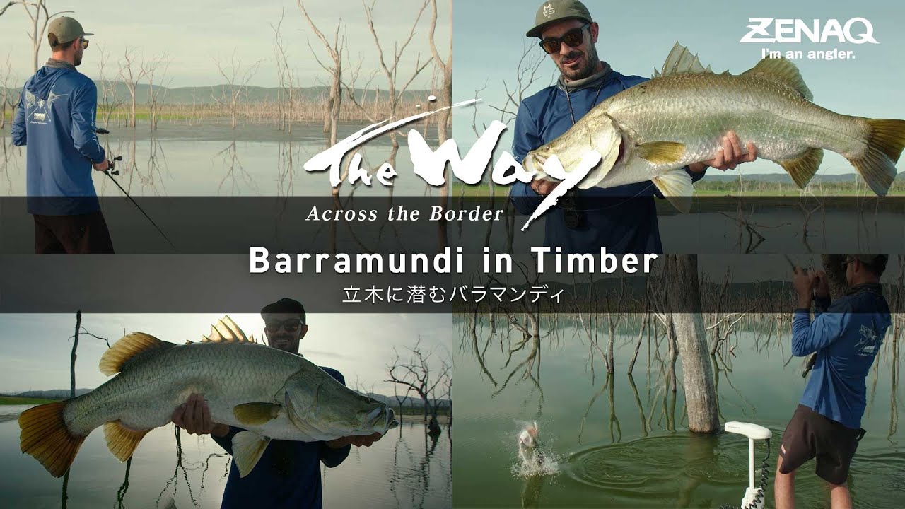 夏のウィード完全攻略 Spirado BLACKART B5-74/B79CoverPE/B4-69 - YouTube