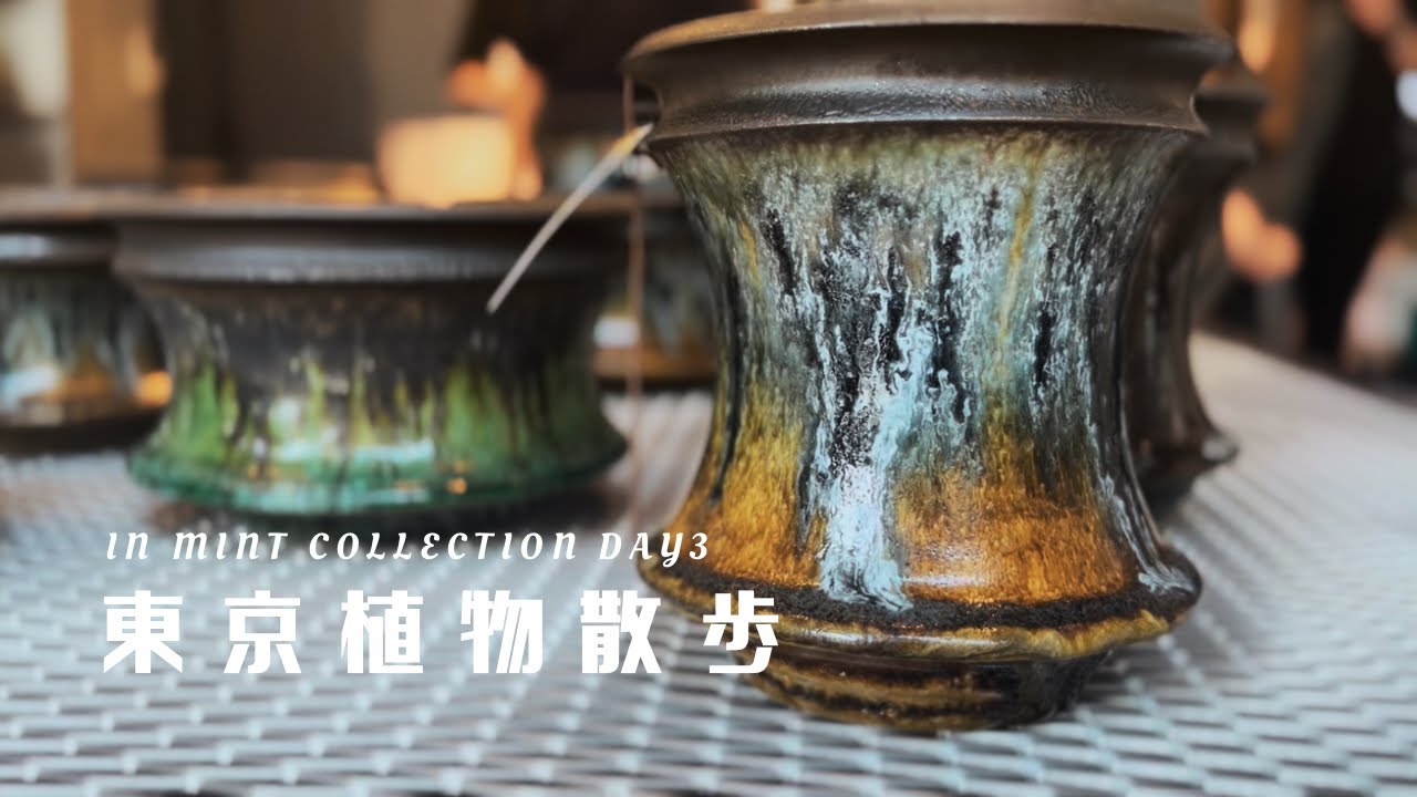 作家鉢の展示会レポート】東京植物散歩 大人気作家鉢カタチ製作所が