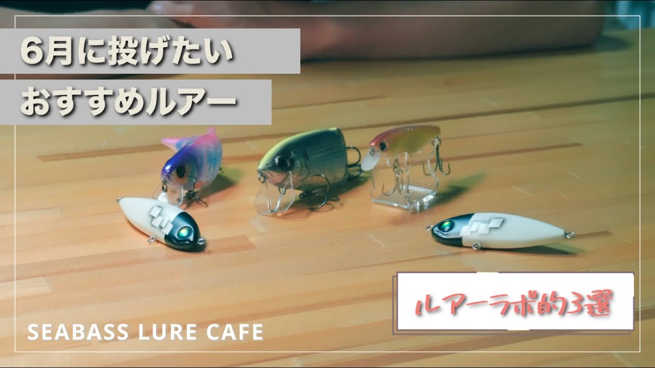 梅雨】雨の多い6月に投げたいルアー3選！【シーバス】 - YouTube