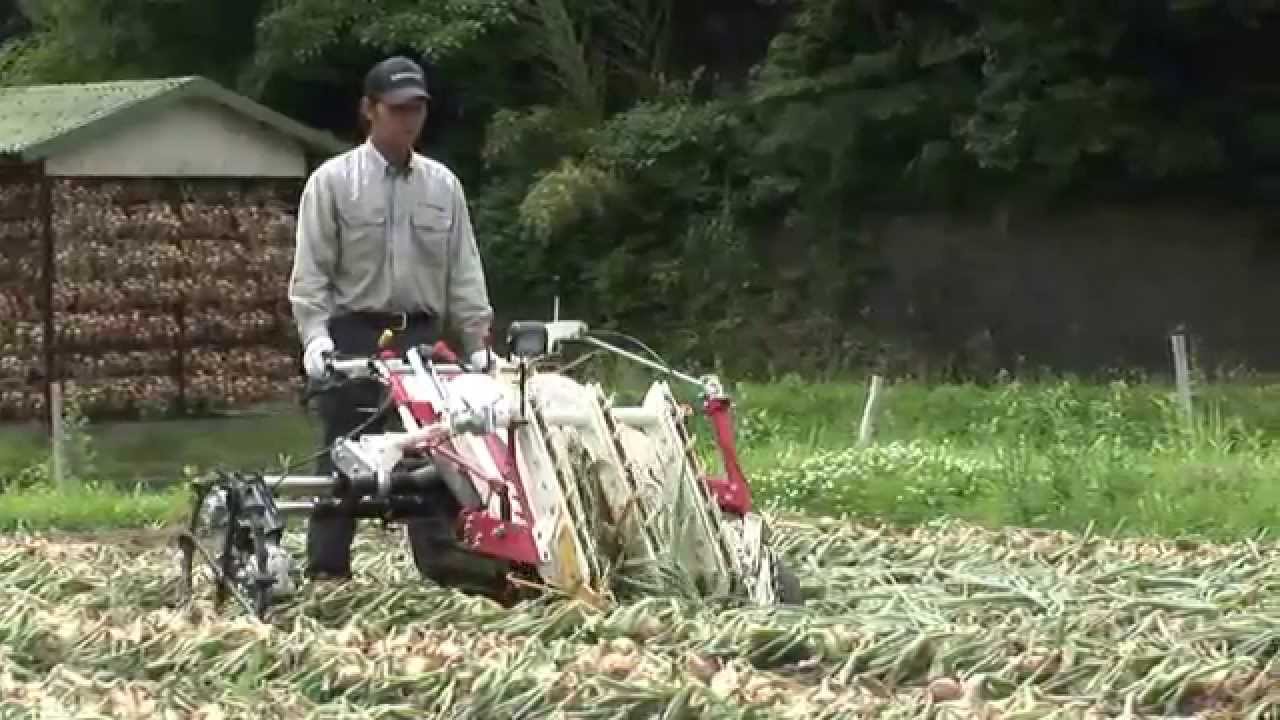 たまねぎ収穫機 HT20A - YouTube