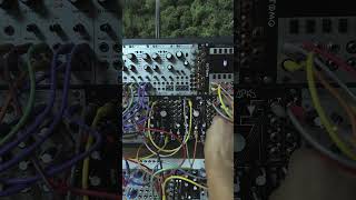 Make Noise XPO - Eurorack Module on ModularGrid