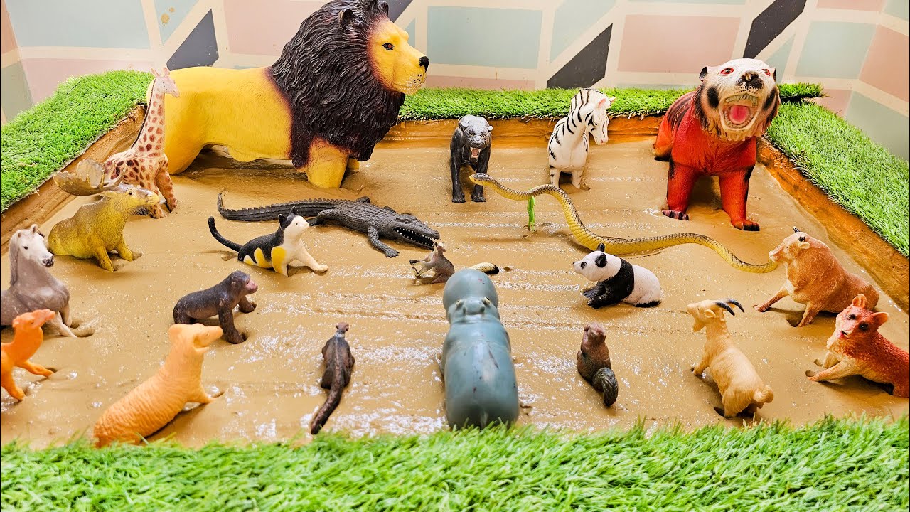 Facing Off Against Deadly Animals and Forest Animals Frolicking in