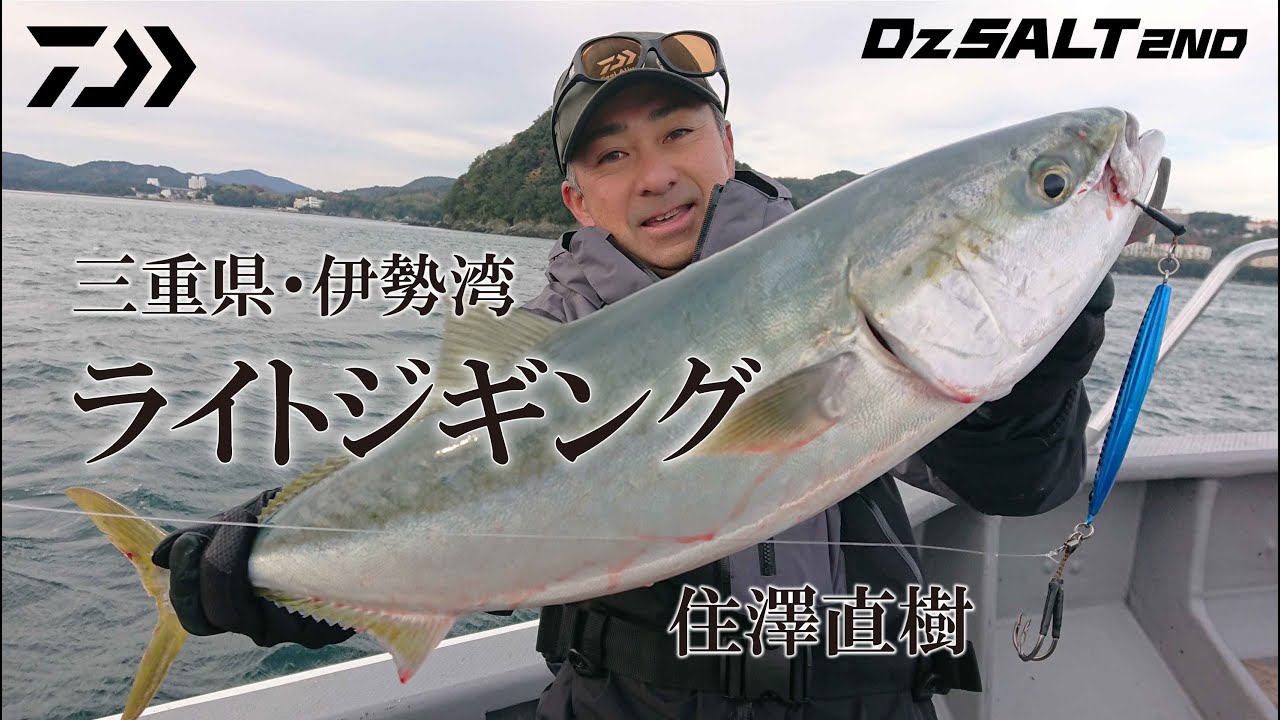 ﾀﾞｲﾜ ｿﾙﾃｨｶﾞ R J64S-3 MD (ｽﾋﾟﾆﾝｸﾞ 1ﾋﾟｰｽ)【大型商品】(J64S-3 MD): 竿