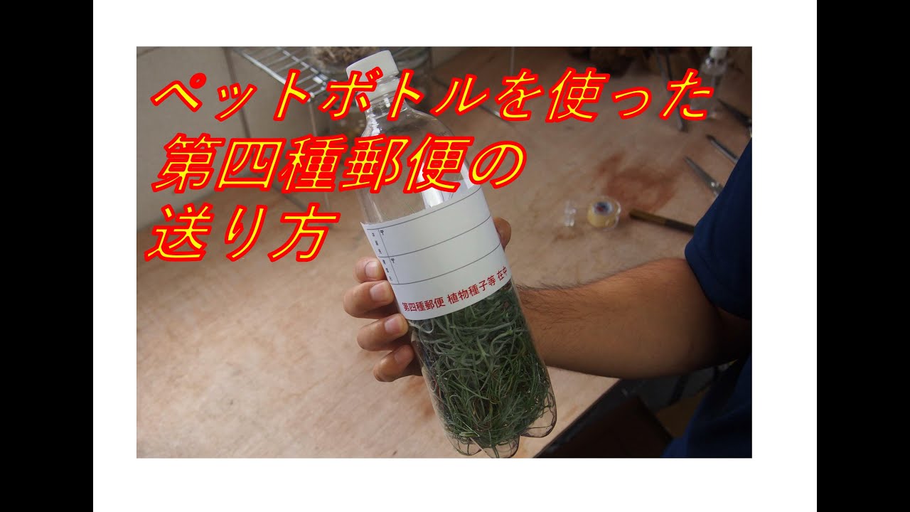 ペットボトルを使った第四種郵便の送り方 - YouTube