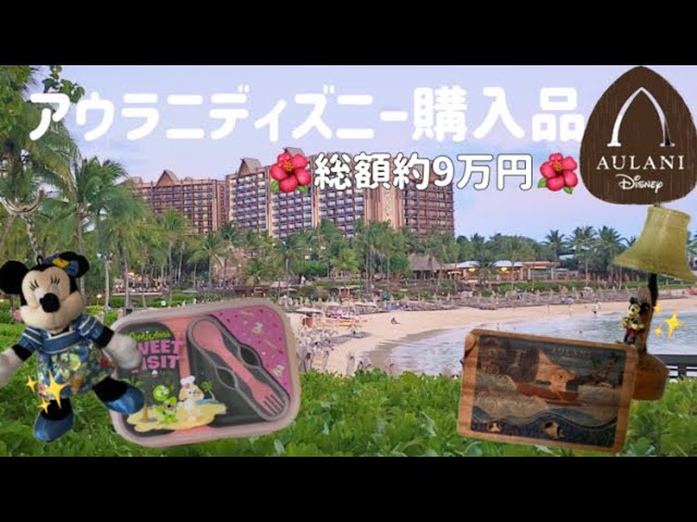 2025最新】アウラニディズニー購入品グッズ紹介！【ハワイ】 - YouTube