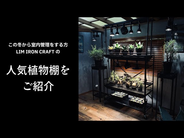 この冬必見！！アガベ・塊根植物におすすめ！高さが変えられる可動式