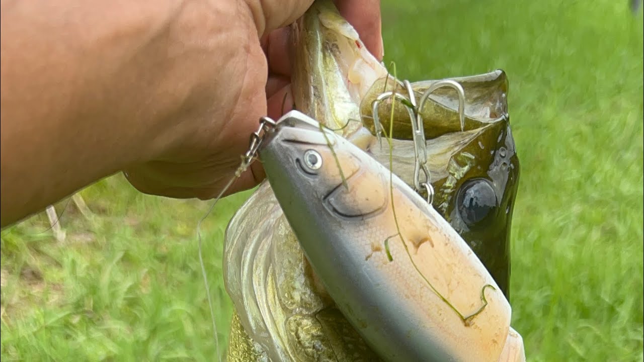 ロマンメイド【ネゴシエーター】初めてのビッグベイト 40アップ高確率