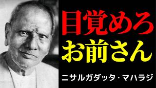 お前さんの正体 | ニサルガダッタ・マハラジ | 哲学 | 目覚め | - YouTube