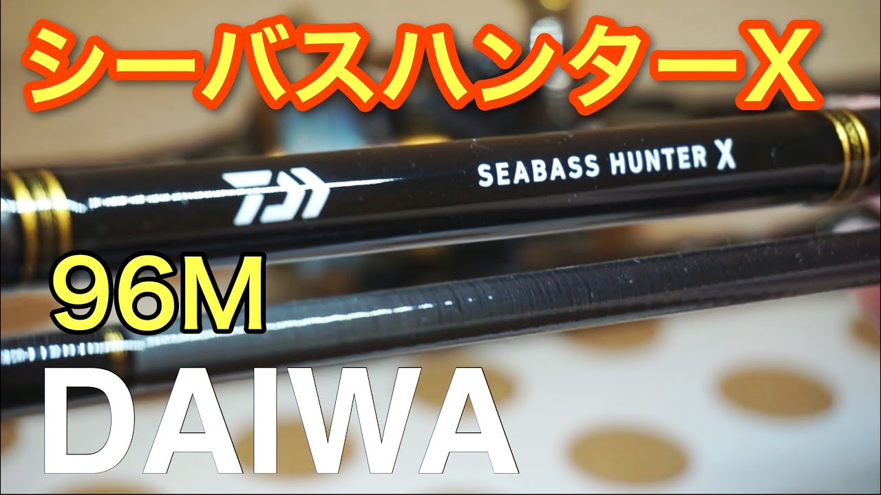 シーバスロッドを購入しました！！(DAIWA シーバスハンターX 96M