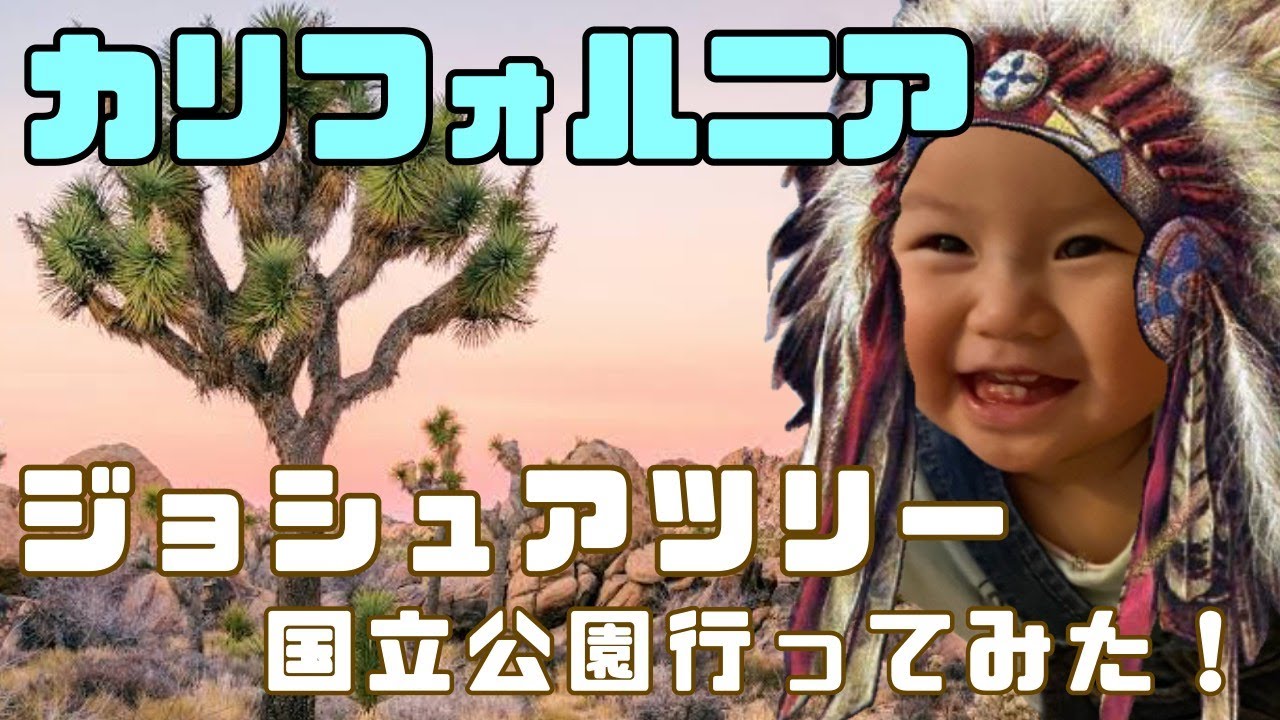 柱サボテン］ケレウス（カーネギア）・ギガンティア（弁慶柱