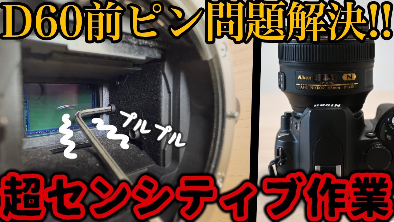 Nikon D60特集 第2弾・ダメなところ ＜ 撮ってて楽しい 的な10000円で