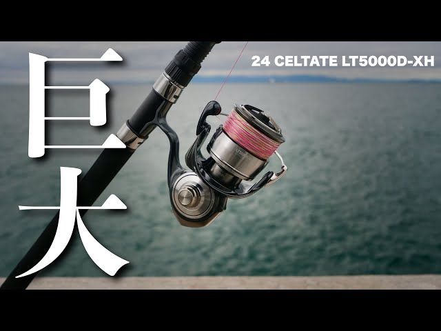 24セルテートLT5000D-XH これが汎用スピニング最強モデル・・【試投