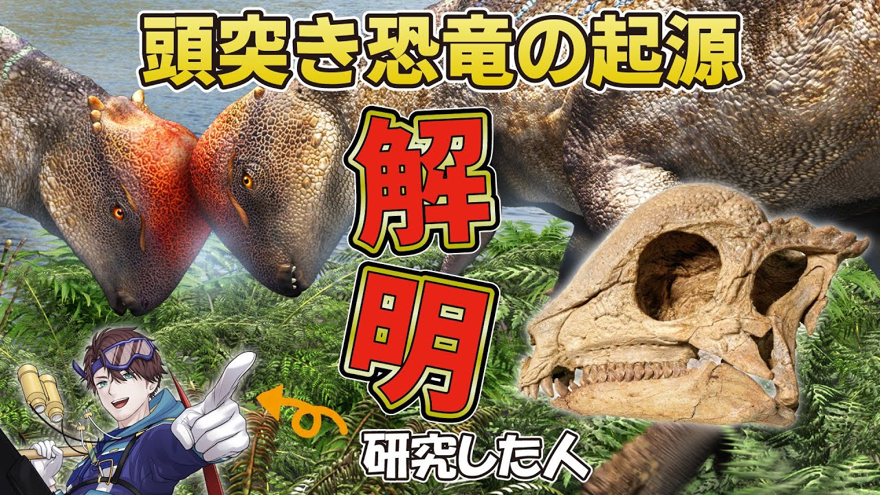 A new species of pachycephalosaur, 