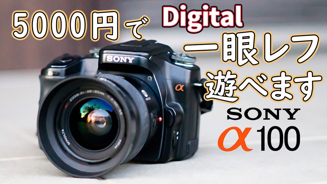 5000円で デジタル一眼レフカメラが遊べます SONY α100☆発売日☆現役