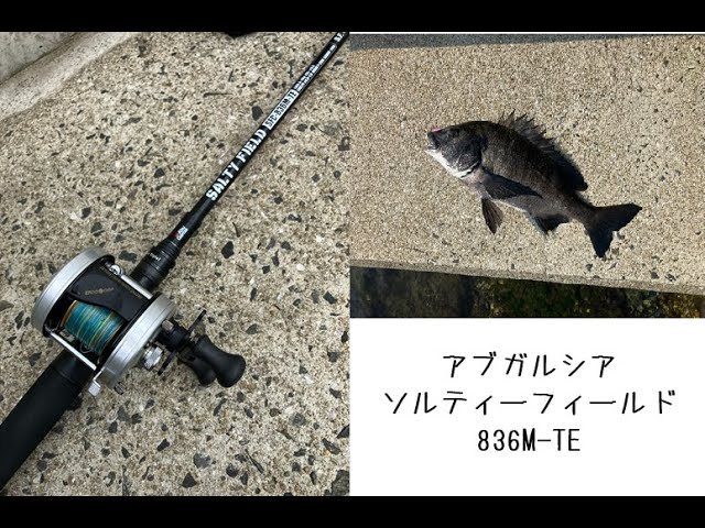 ソルティーフィールド836M-TE】魚が釣れたので追記【アンバサダー