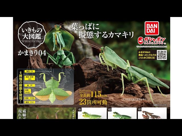 かまきり04』いきもの大図鑑 コンプリート開封動画 ガシャポン