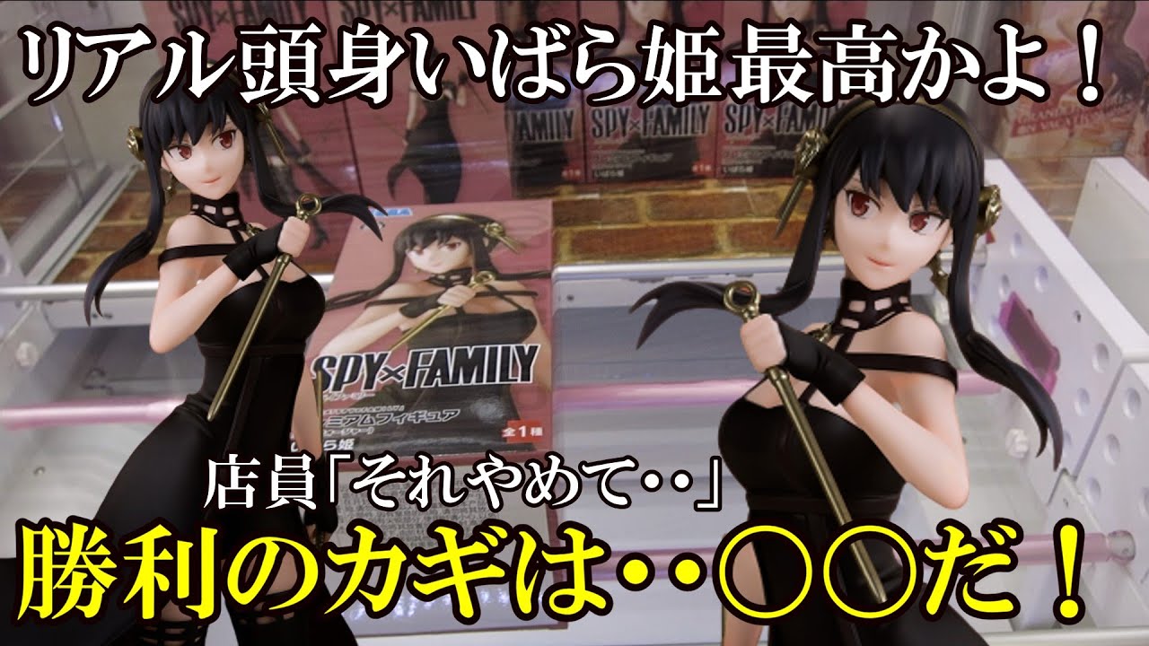 SPY×FAMILY】リアル頭身いばら姫最高かよ！プレミアムフィギュア（ヨル