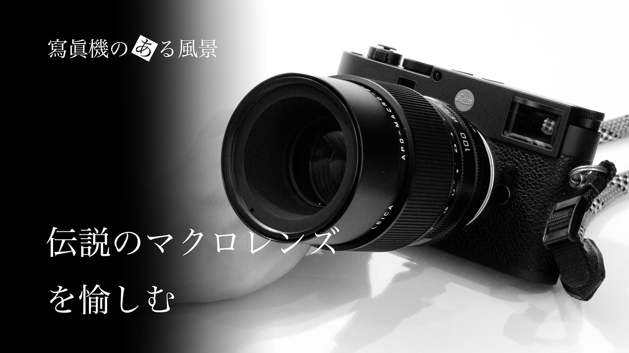 M型ライカ 伝説のマクロレンズを愉しむ - デジタル機で使うRマウント