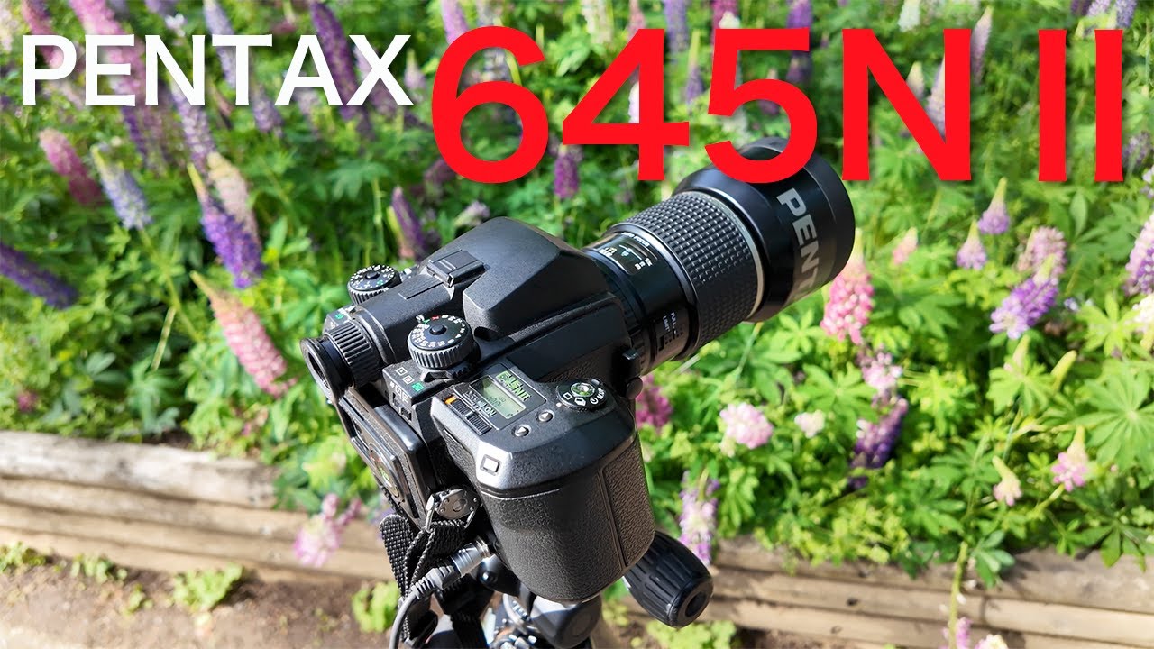 PENTAX 645NⅡ - Photographing Lupines PENTAX 645NⅡ