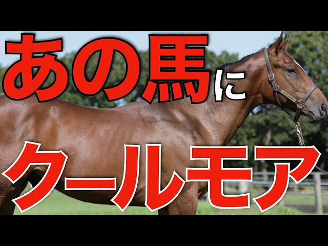 クールモアがあの種牡馬に本気だった！来日した繁殖牝馬の配合相手を