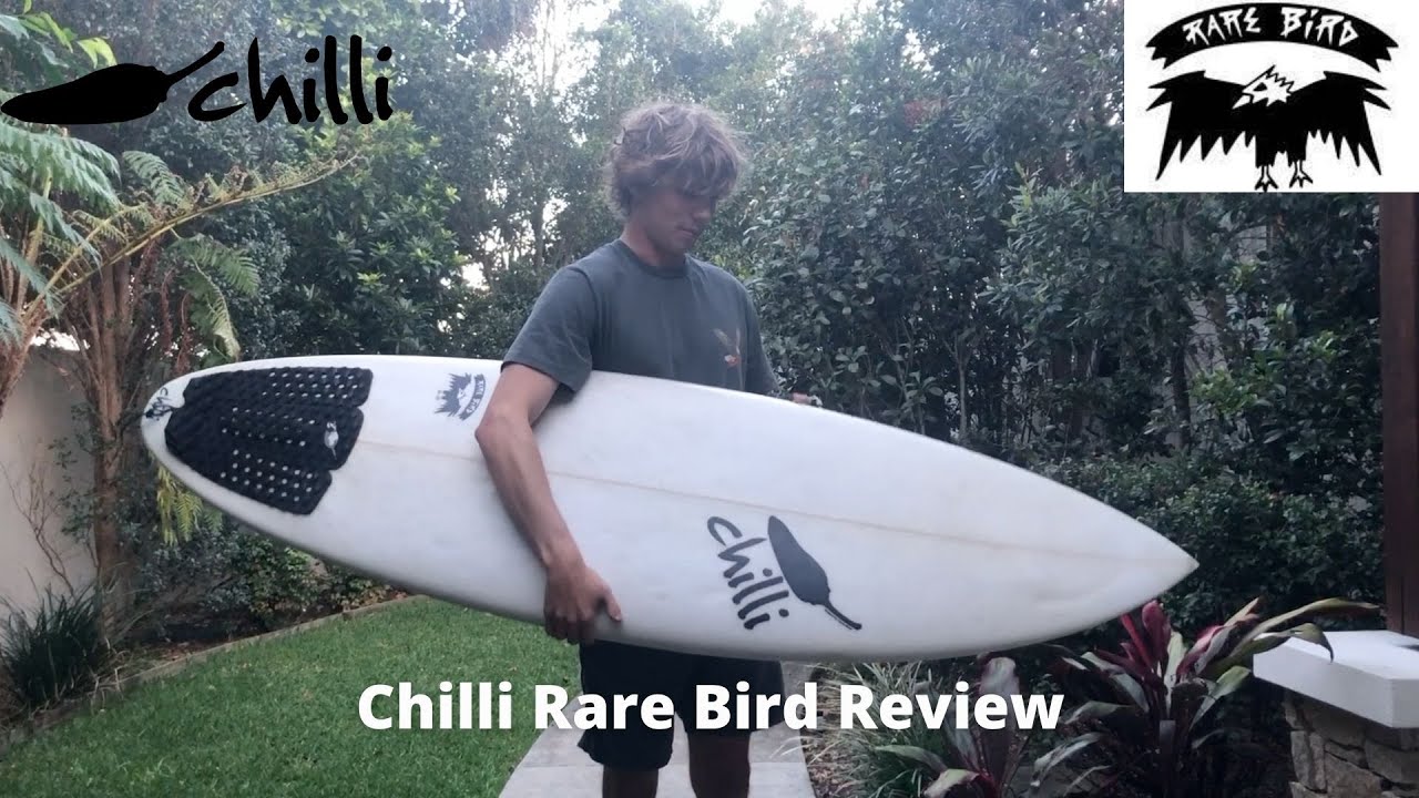 CHILLI RARE BIRD REVIEW (EP.13 The Rare Bird) - YouTube