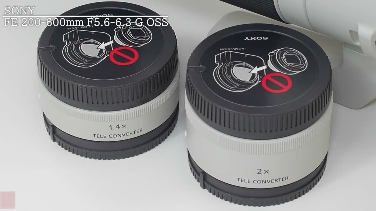 10000円キャッシュバック ～5/11まで】 ソニー FE 200-600mm F5.6-6.3