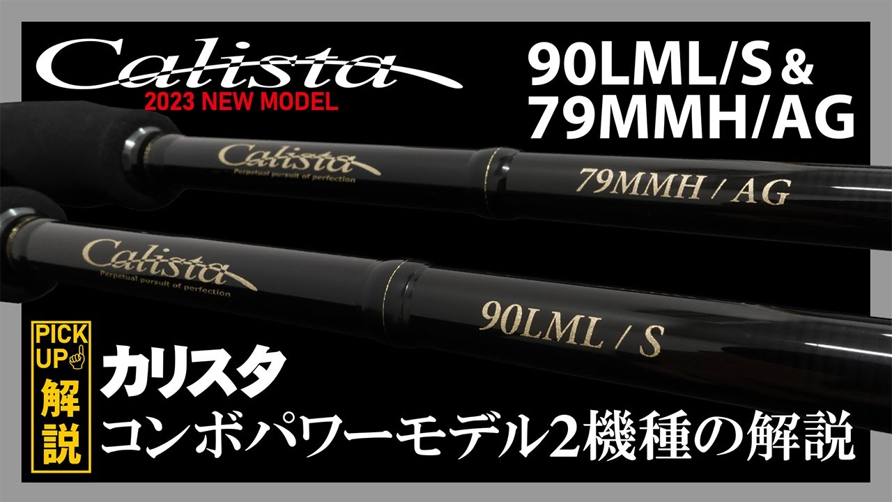 カリスタシリーズ コンボパワーモデル「90LML/S＆79MMH/AG」2機種の