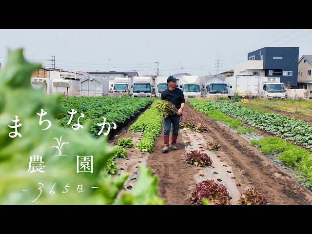 出張版#6 都市の小さな農業｜古木農園 - YouTube