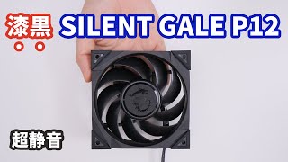 MSI MEG SILENT GALE P12 Review - Thermaltake TOUGHFAN 12と比較して