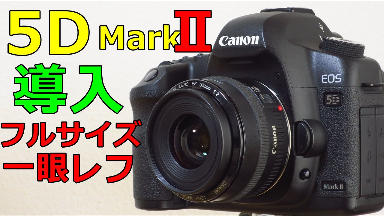 中古】CANON EOS 5D MarkⅡ 動作検証・作例 キヤノンのフルサイズ一眼