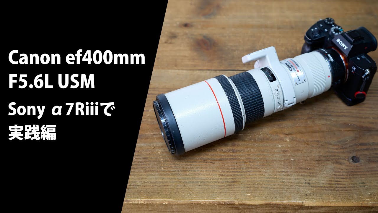 Canon ef400mm F5.6L USM を Sony α7Riii で使ってみました #a7r3
