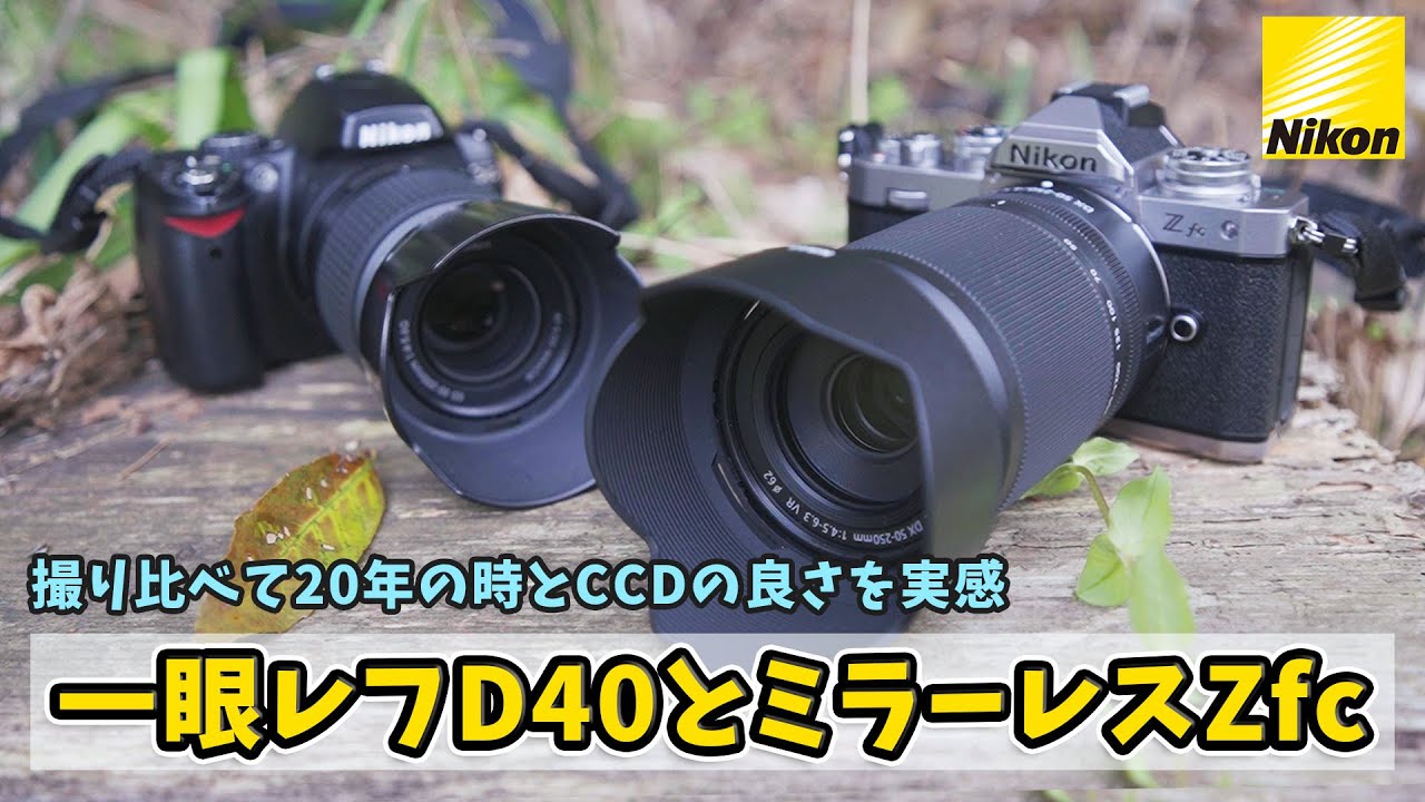 桜に最適なNIKKORズームとその追憶〜Nikon ZfcとD40を撮り比べて感じた