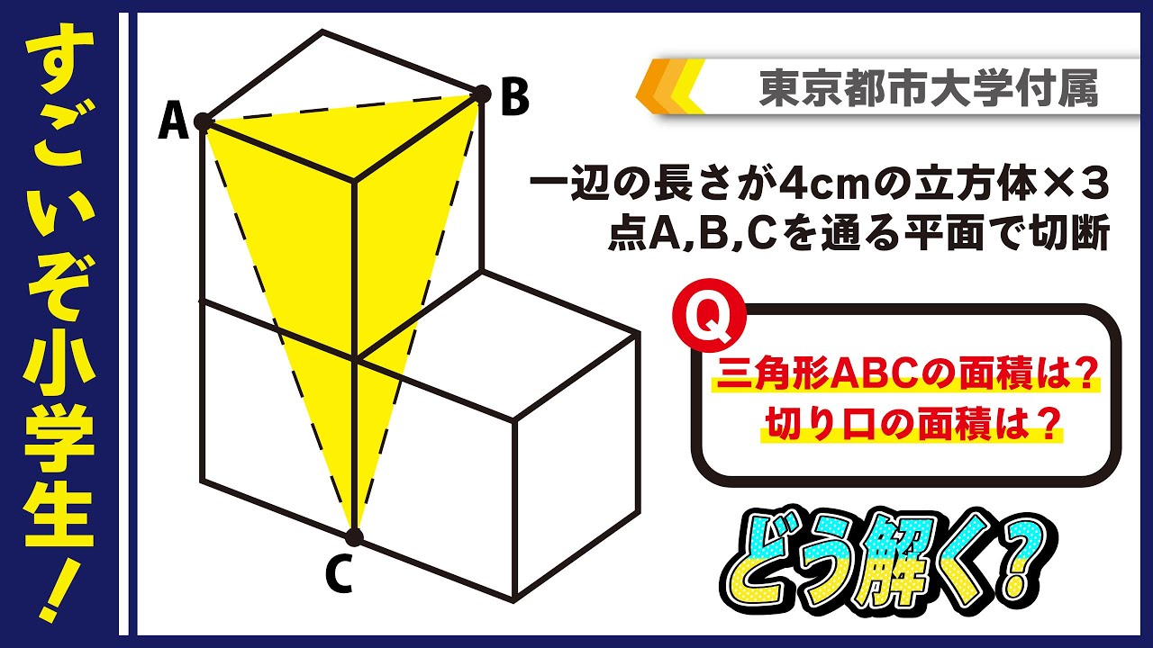 面白い算数問題】どう解く？ 中学受験 算数 立体図形 - YouTube