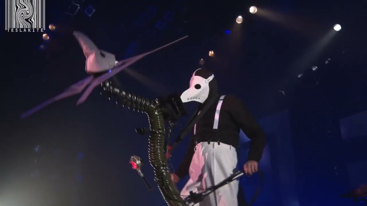 核P-MODEL ライブDVD「回＝回」ダイジェスト映像 / Digest movie from