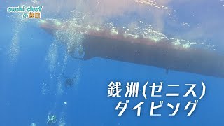 日本の秘境でドリフトダイビング！2025年7月銭洲(ゼニス)へ遠征片道
