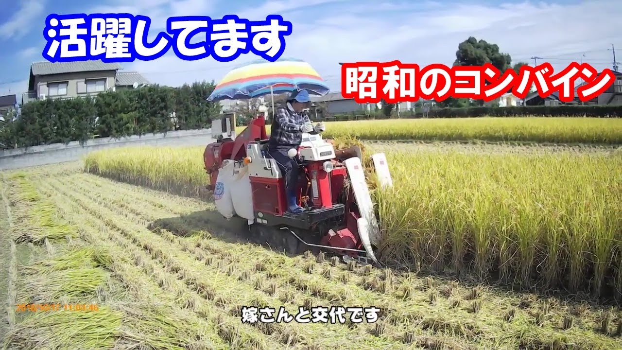 昭和53年製ビンテージクボタコンバイン活躍中。41年間使用のNX