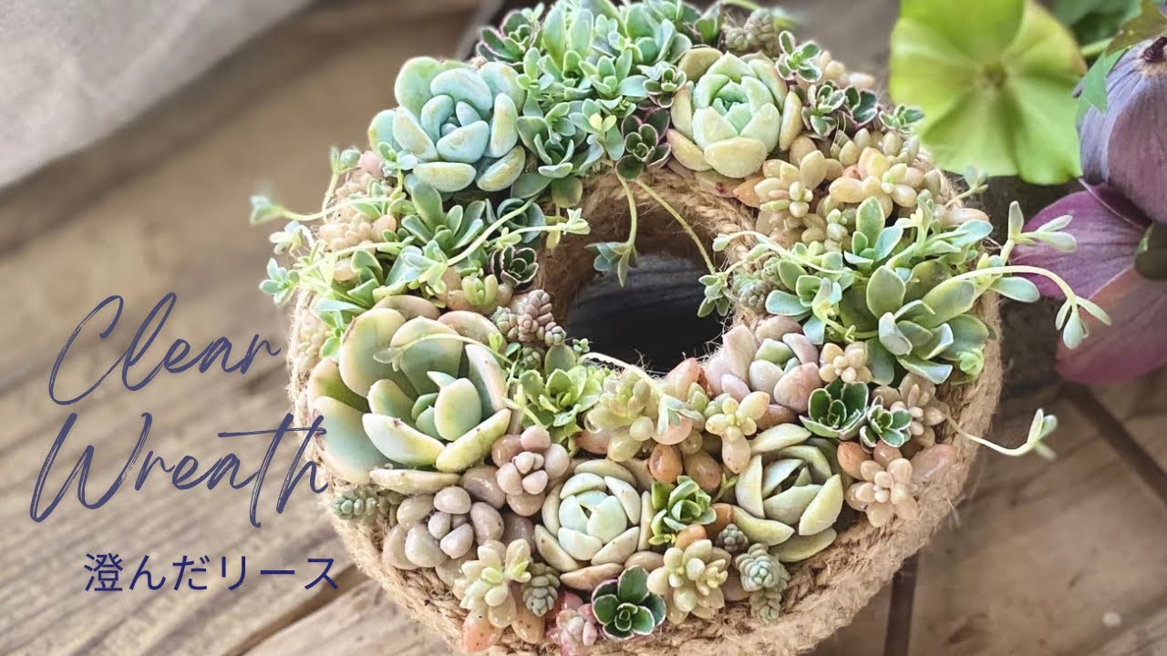 Clear Wreath』澄んだリース 多肉植物 多肉寄せ植え Horticulture