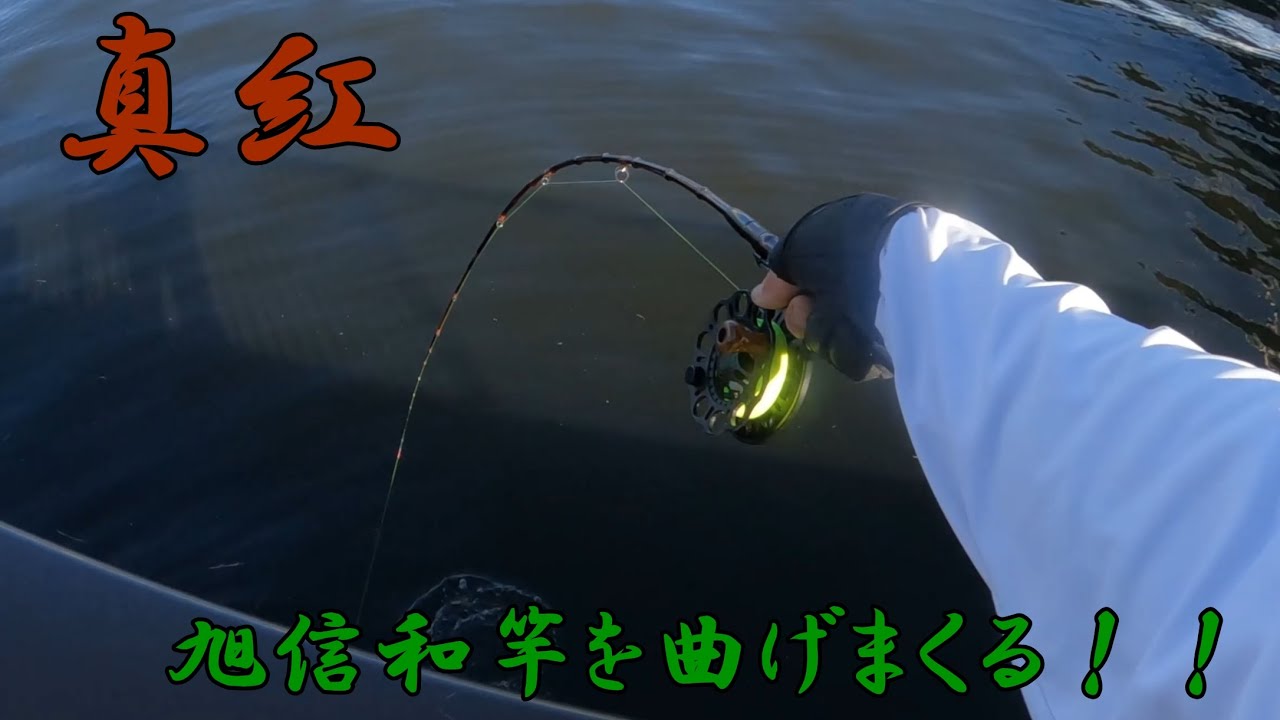 ヘチ釣り] 層塗り布袋竹旭信和竿を曲げまくる！！ - YouTube