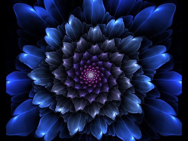 GARNET CROW PREMIUM Blu-ray BOX- Special Disc「GARNET CROW history