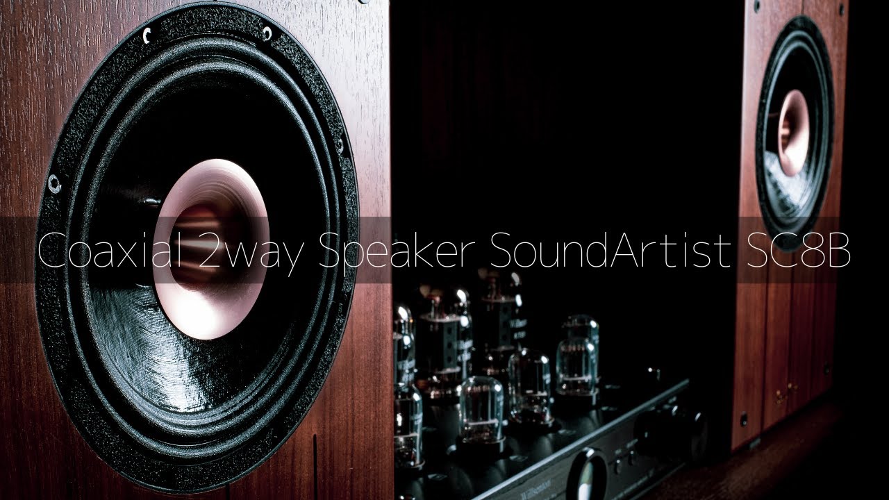 Review】Coaxial 2way Bookshelf Speaker 