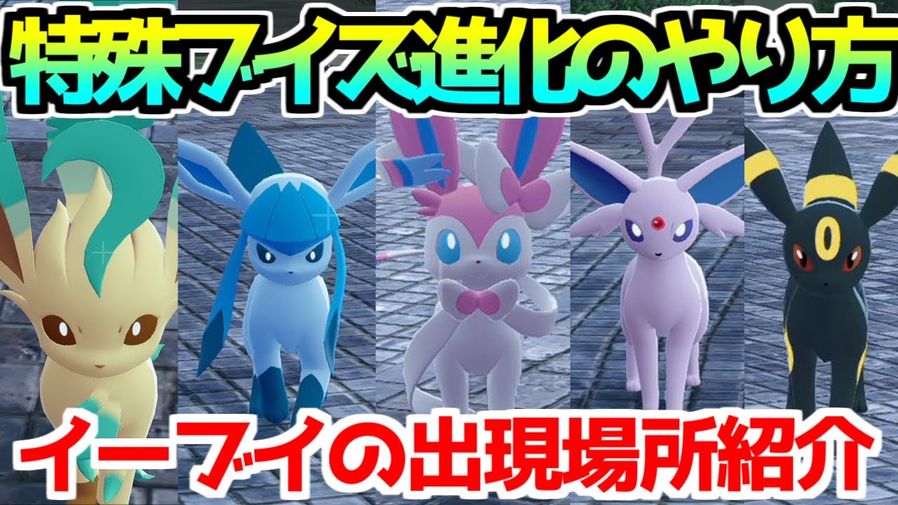 ポケモンZA】イーブイ エーフィ・ブラッキー・ニンフィア・リーフィア