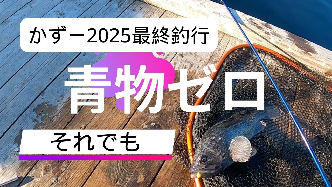 Sea Fishing Pond] Kazu's final fishing trip of 2025. Zero bluefish