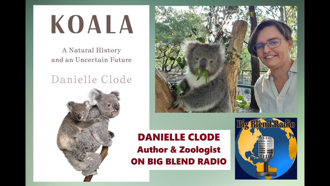 Danielle Clode - Koala: A Natural History and an Uncertain Future