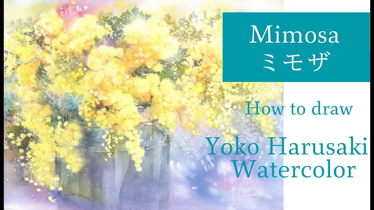 YokoHarusaki Watercolor Mimosa ミモザ 水彩画 描き方 Yoko Harusaki